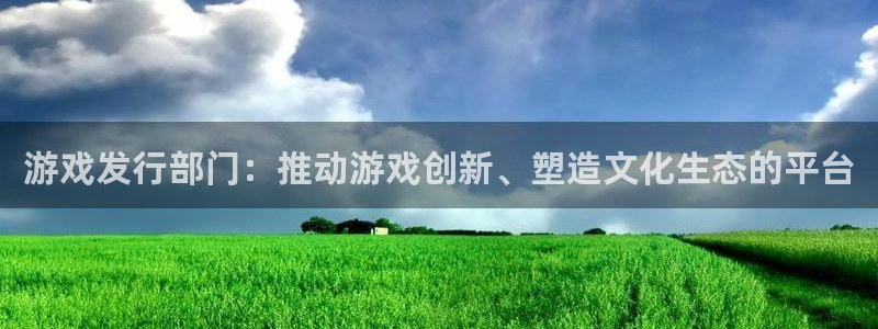 bg大游子出版社：游戏发行部门：推动游戏创新、塑造文化生态的平台