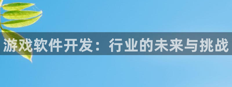 陕西bg大游子文化创意干啥的：游戏软件开发：行业的未来与挑战