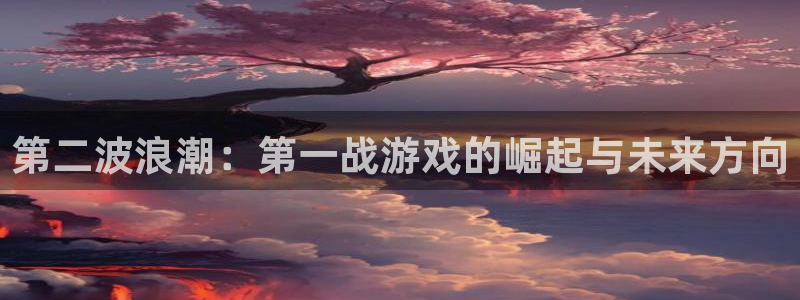 bg大游官网登录注册账号失败怎么回事：第二波浪潮：第一战游戏的崛起与未来方向