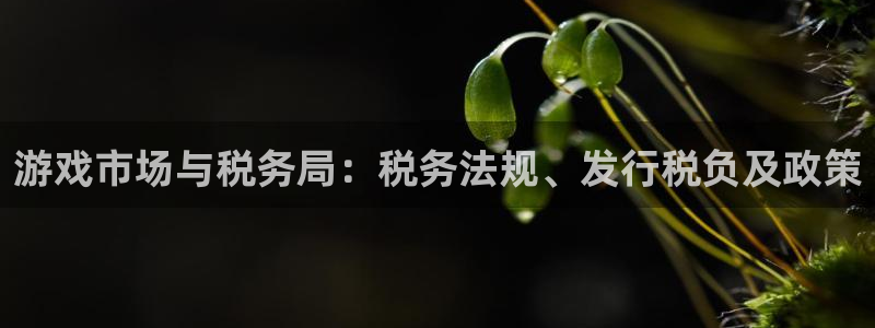 bg大游电子商务有限公司怎么样：游戏市场与税务局：税务法规、发行税负及政策