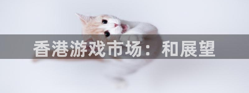 bg大游官网平台怎么样知乎：香港游戏市场：和展望