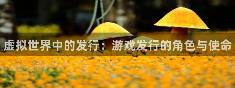 bg大游官网平台会黑款吗：虚拟世界中的发行：游戏发行的角色与使命