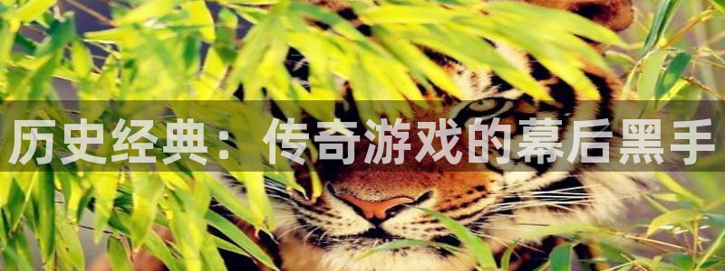 bg大游技术有限公司官网：历史经典：传奇游戏的幕后黑手