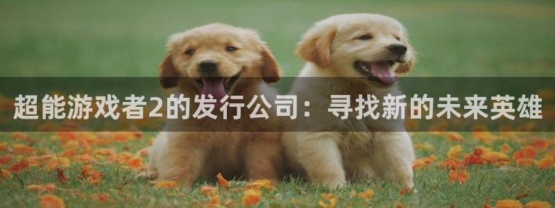 bg大游官网代理注册地址：超能游戏者2的发行公司：寻找新的未来英雄