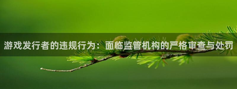bg大游官网代理开号：游戏发行者的违规行为：面临监管机构的严格审查与处罚