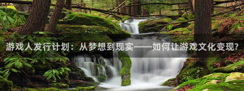 bg大游官网注册方法是什么样的：游戏人发行计划：从梦想到现实——如何让游戏文化变现?