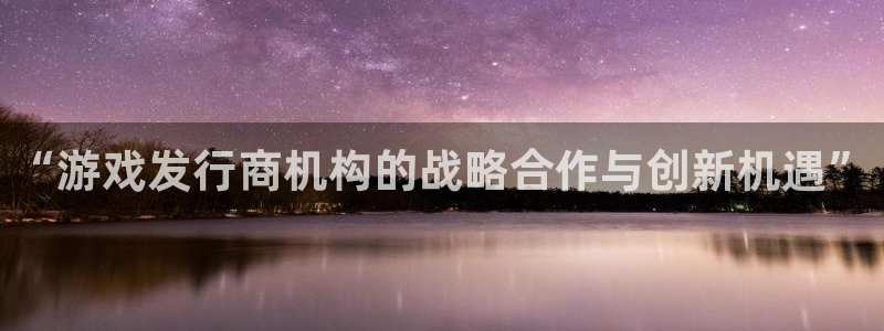 bg大游子经理人读后感：“游戏发行商机构的战略合作与创新机遇”