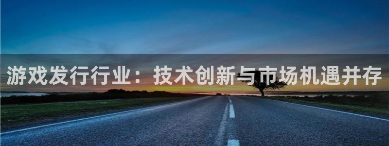 bg大游官网注册平台合法吗?：游戏发行行业：技术创新与市场机遇并存