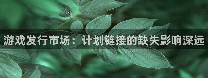 广州bg大游投资管理顾问有限公司：游戏发行市场：计划链接的缺失影响深远