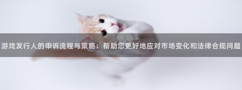 bg大游官网游戏平台高奖金玩法：游戏发行人的申诉流程与策略：帮助您更好地应对市场变化和法律合规问题