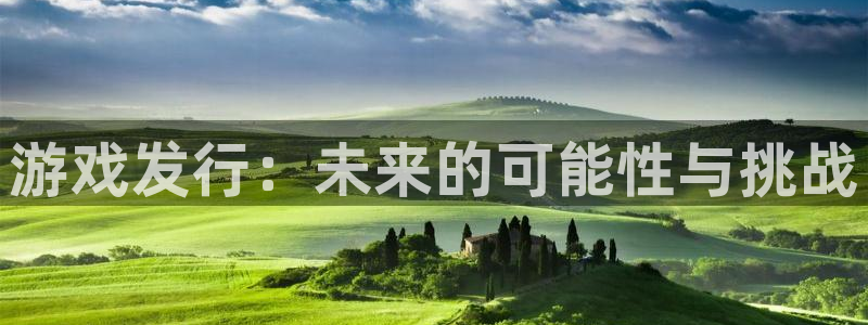 bg大游官网官网注册账号怎么注册：游戏发行：未来的可能性与挑战