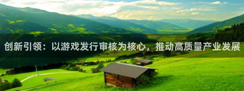 bg大游官网客服服务：创新引领：以游戏发行审核为核心，推动高质量产业发展