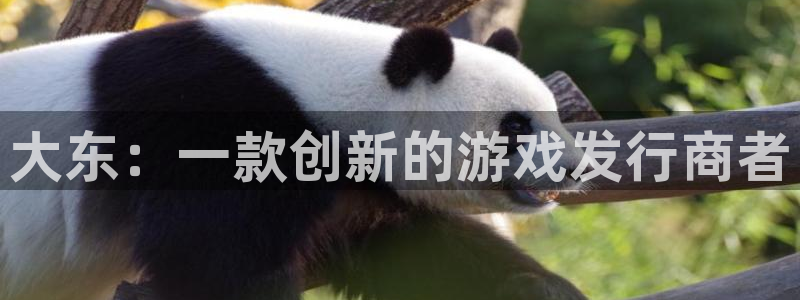 bg大游官网注册方法有哪些：大东：一款创新的游戏发行商者