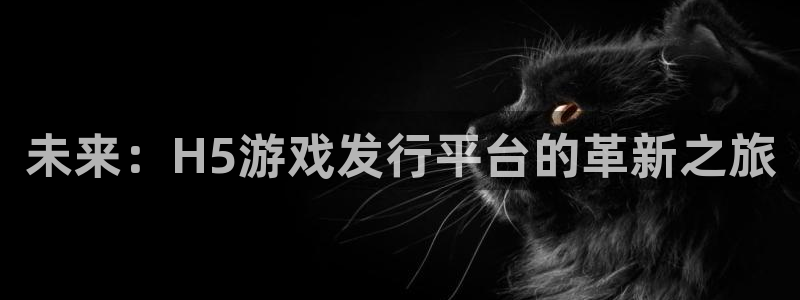 bg大游官网登录注册不了：未来：H5游戏发行平台的革新之旅