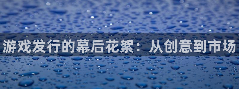 陕西bg大游子文化公司加我qq：游戏发行的幕后花絮：从创意到市场