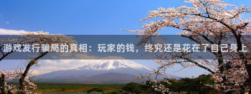 bg大游电子商务怎么样