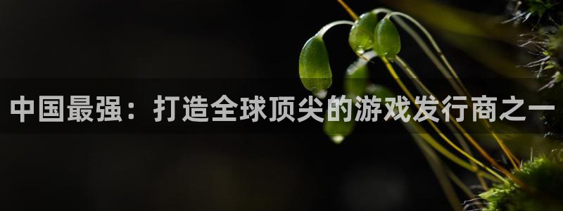 顺德bg大游电商：中国最强：打造全球顶尖的游戏发行商之一