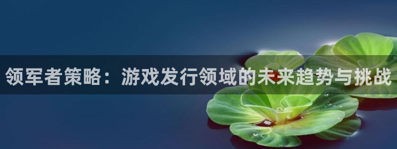 江苏bg大游：领军者策略：游戏发行领域的未来趋势与挑战