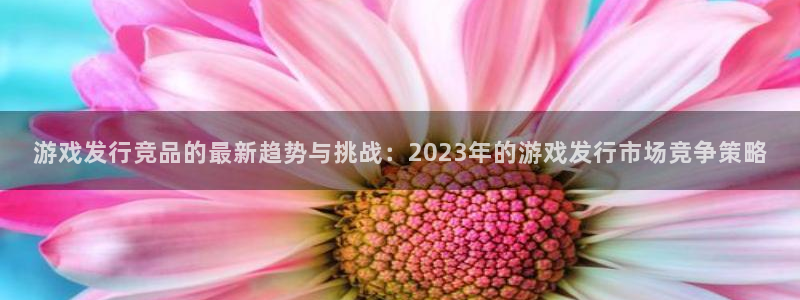 bg大游品牌顾问有限公司：游戏发行竞品的最新趋势与挑战：2023年的游戏发行市场竞争策略