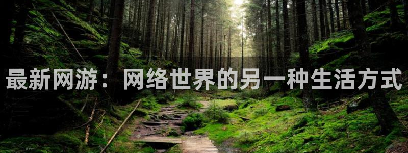 bg大游官网注册平台怎么样啊