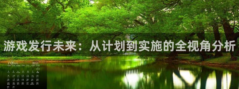 bg大游子出版社董事长：游戏发行未来：从计划到实施的全视角分析