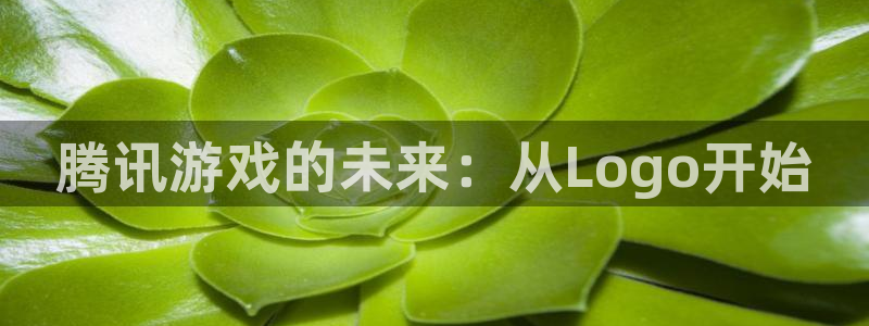 bg大游官网代理注册地址